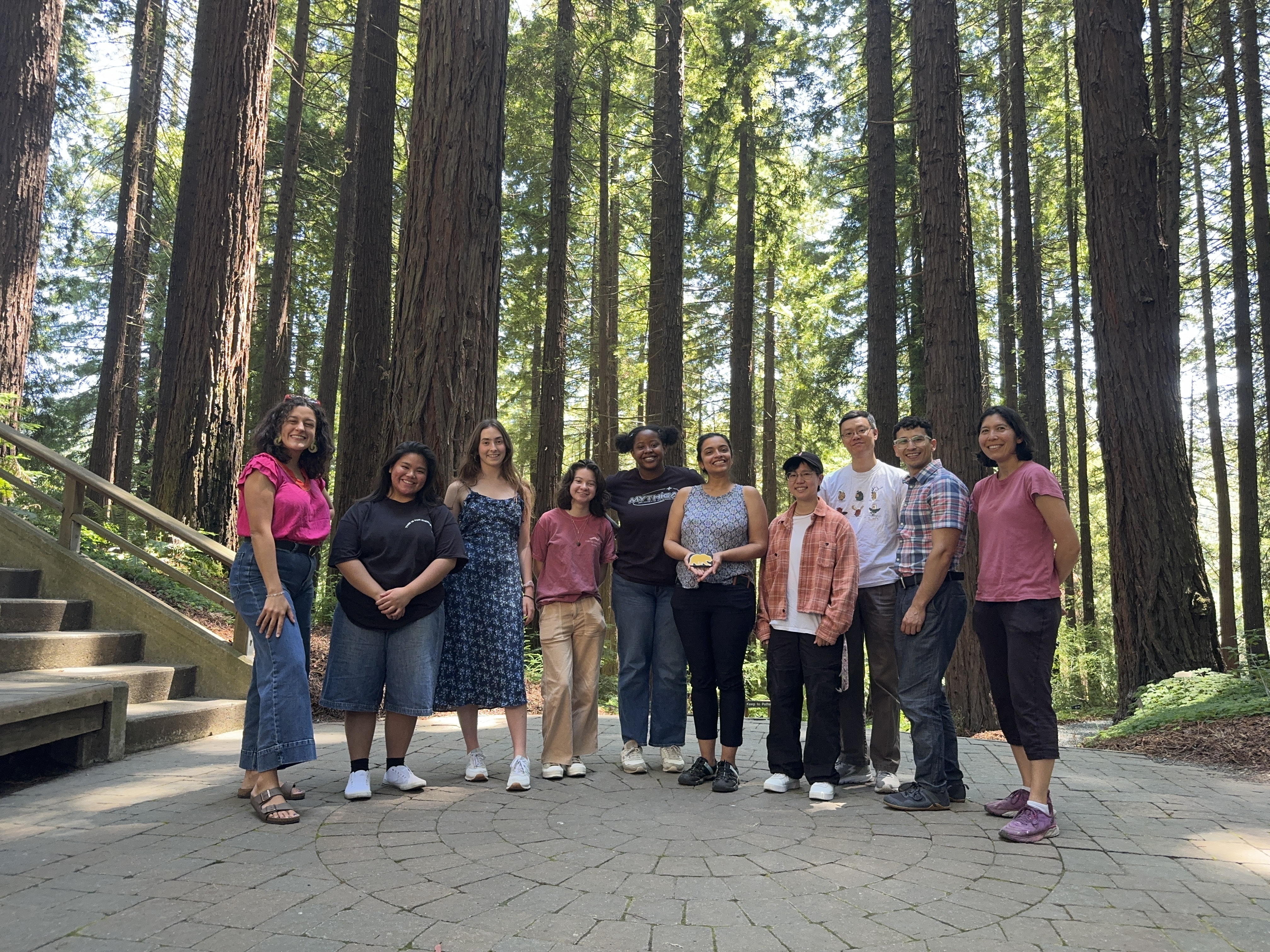 Individuals standing in a line in front of Redwood trees.